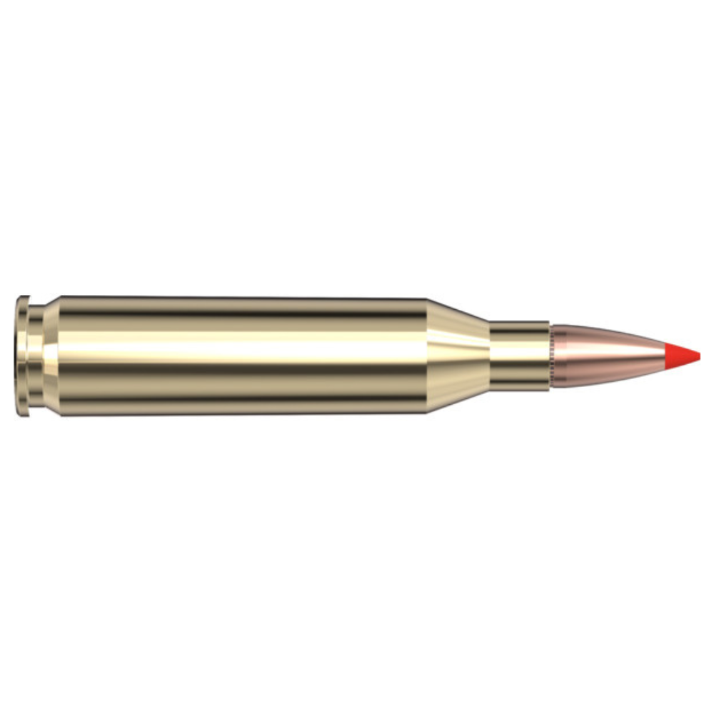 Hornady | American Whitetail 243 Win 95gr SST American Whitetail | Tipped