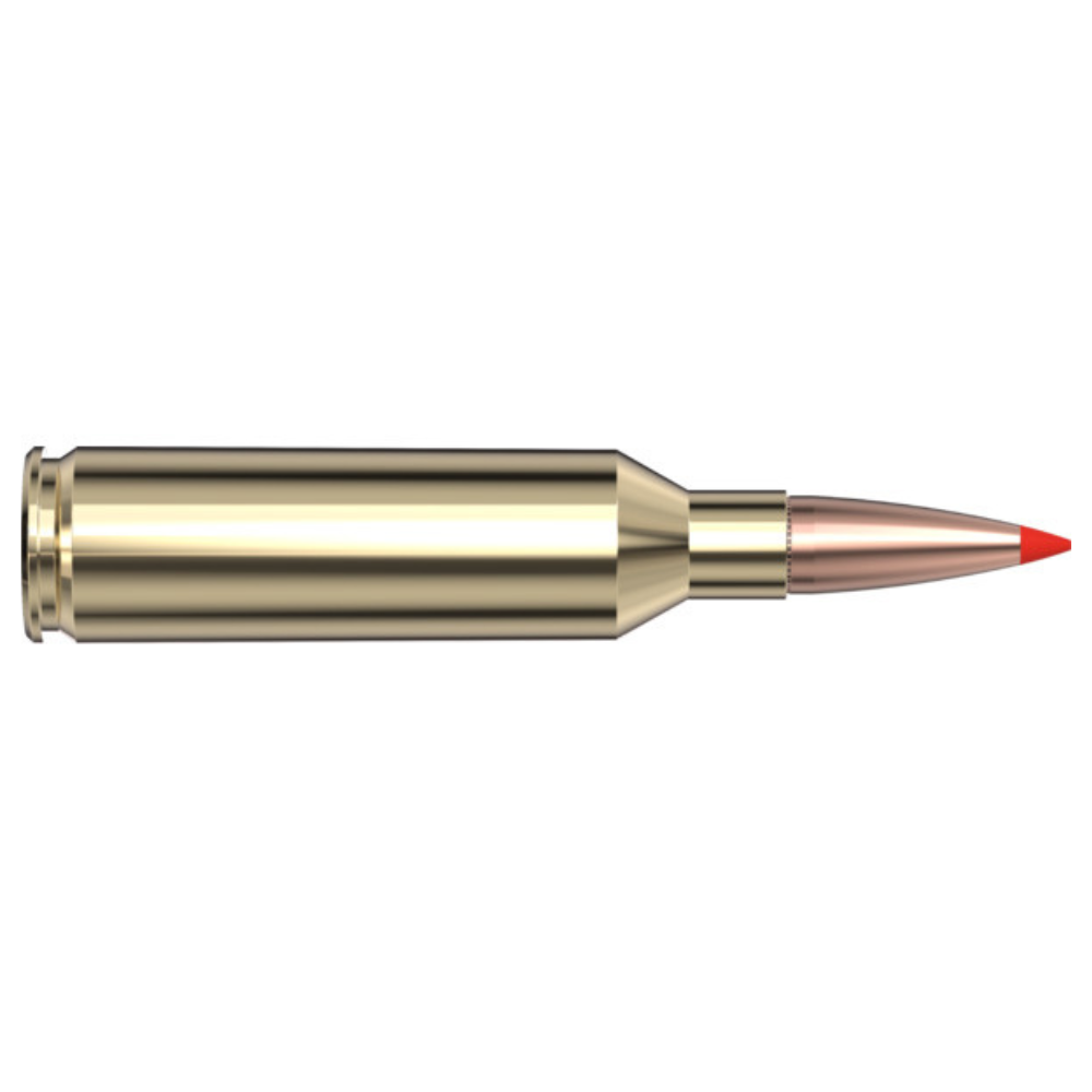 Hornady | 6.5mm PRC 129gr SSTAmerican Whitetaill | Tipped