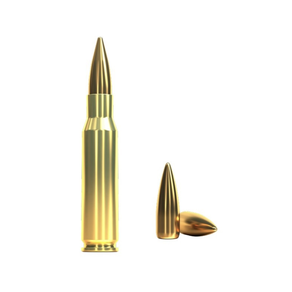 Sellier & Bellot | 308 Win 8.0g / 124gr FMJ