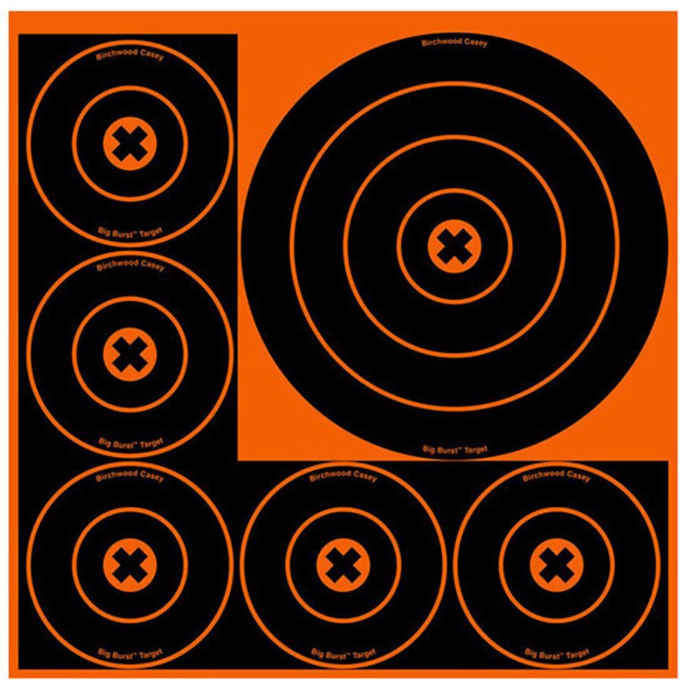 Shoot'N'C | Big Burst 8" & 4" | 5 Bullseye Target