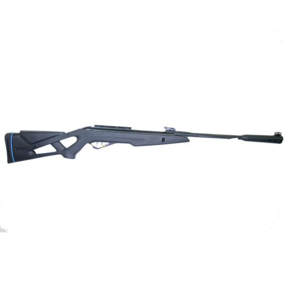 Gamo | Whisper .22 Air Rifle | Online
