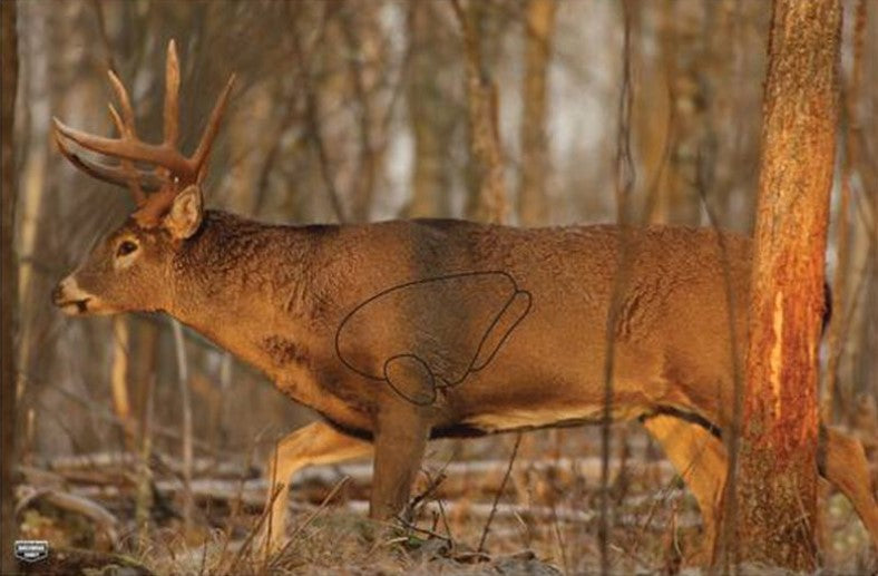 Birchwood Casey | Eze-Scorer Deer Target | 23"x35"