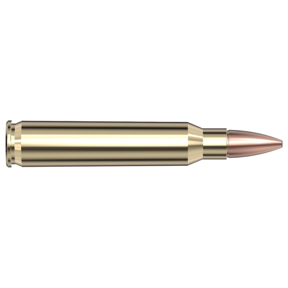 Hornady | Frontier 223 Remington 55gr FMJ