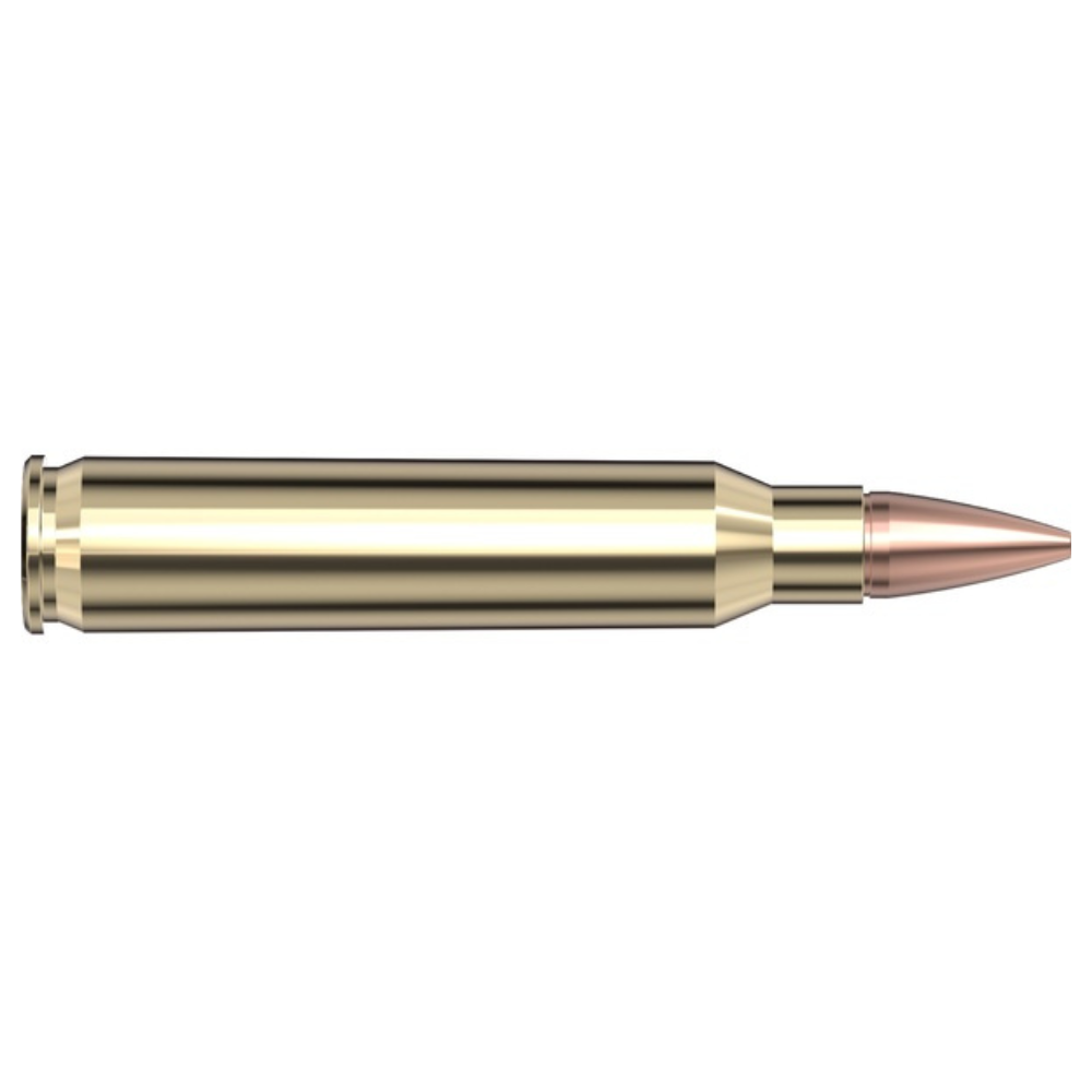 Hornady | Frontier 223 Remington 55 gr HP Match
