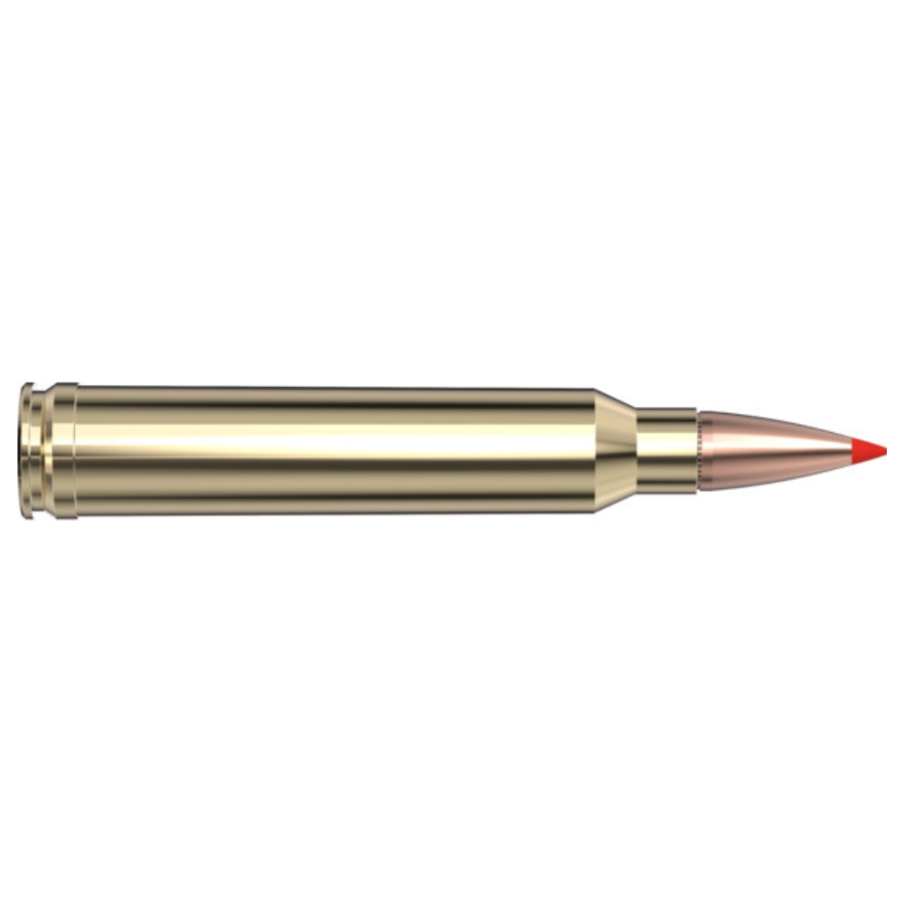 Hornady | 300 Win Mag 165 gr SST American Whitetail | Tipped