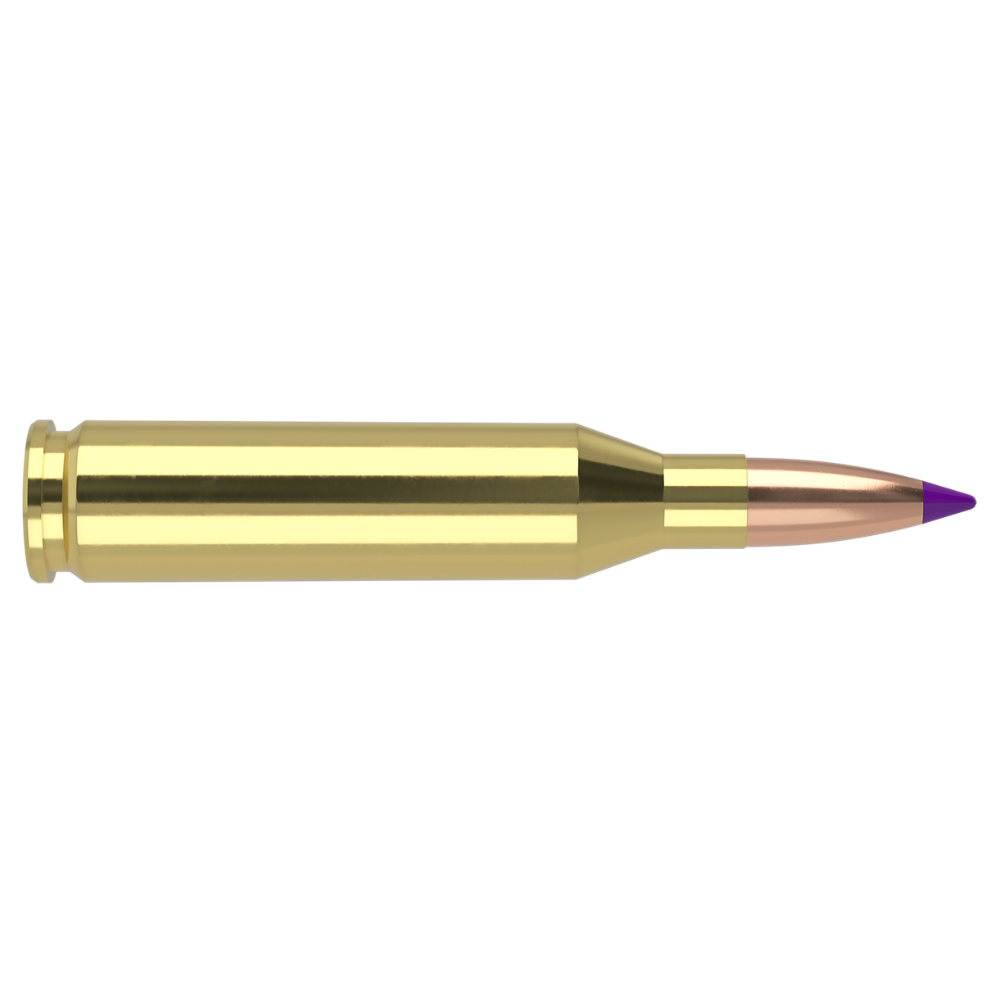 Nosler | Ballistic Tip Hunting | 243 Winchester 90gr | 20Pack