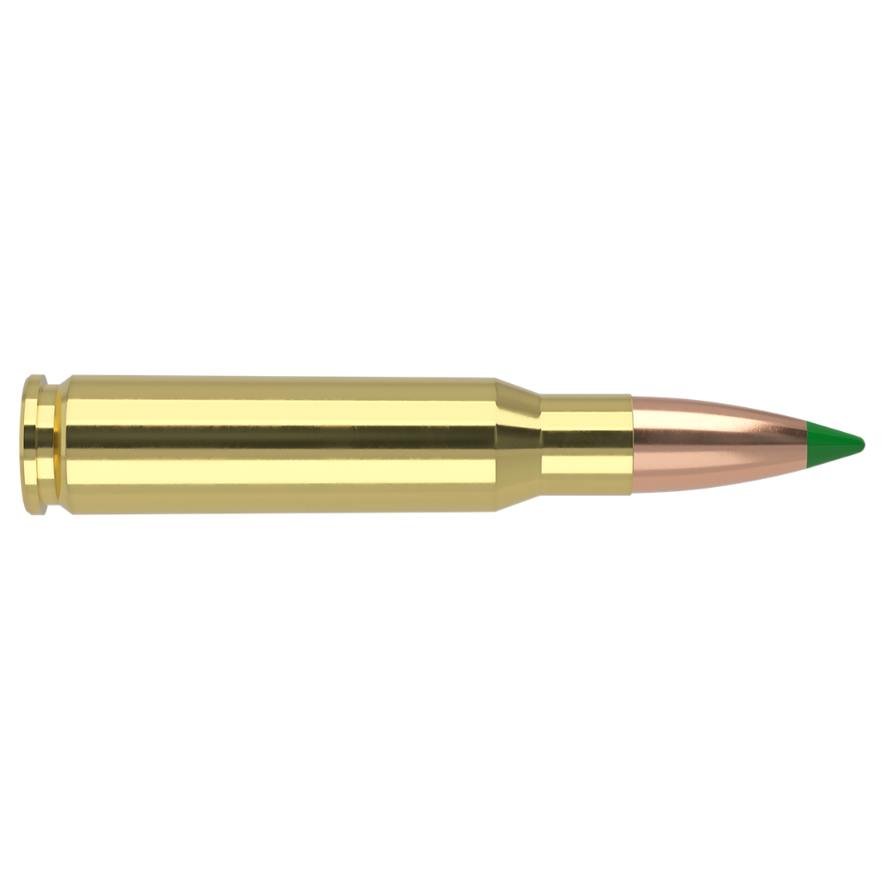Nosler | Ballistic Tip Hunting | 308 Winchester 165gr | 20Pack