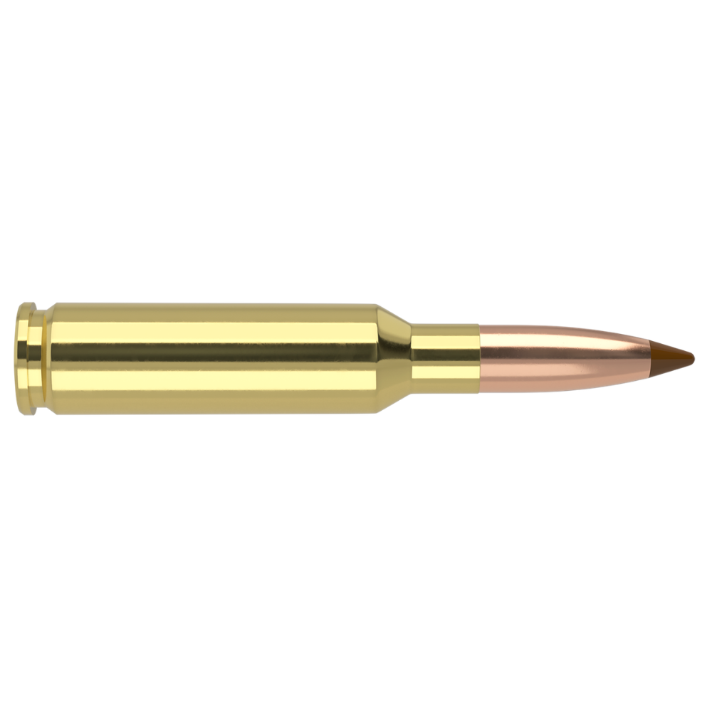 Nosler | Ballistic Tip Hunting | 308 Winchester 150gr | 20Pack